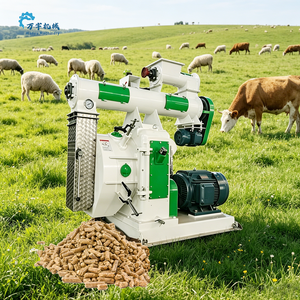 Máquina <span class=keywords><strong>de</strong></span> Pellets Ecológica <span class=keywords><strong>de</strong></span> Bajo Contenido <span class=keywords><strong>de</strong></span> Polvo para Alimentación <span class=keywords><strong>de</strong></span> Aves <span class=keywords><strong>de</strong></span> Corral, Ganado y Animales Acuáticos - Product Image 6