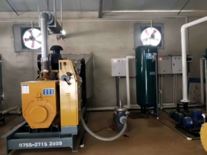 Offre Spéciale : Générateur de biogaz au méthane 50-200 kW pour fermes porcines/volailles/bovines, refroidissement par eau, démarrage électrique DC, monophasé - Product Image 1