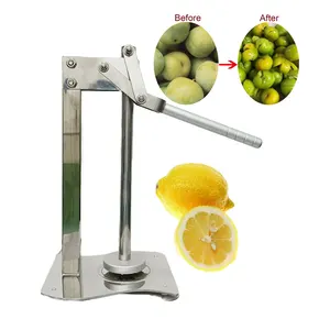 Hochleistungs-Edelstahl Orange Druckwerk zeug Gemüse Tragbare Presse Squeeze Potato Ricer Manual Lemon Masher