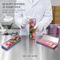 Boîte en fer blanc rectangulaire mince décorée sur mesure OEM ODM pour palette de fards à paupières, avec miroir, vente en gros d'usine