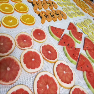 Tunnel commerciale antiaderente <span class=keywords><strong>grande</strong></span> foro frutta disidratatore/rete a nastro essiccatore essiccazione deidratante tappetini 2*3mm - Product Image 5
