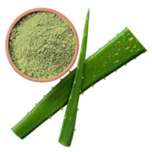 Polvo de Aloe Vera Botánico para el Cuidado Facial, Capilar, Mezclas Cosméticas y Desarrollo de Productos Naturales para el Cuidado Personal de Calidad - Product Image 1