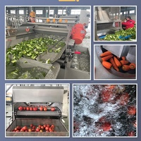 Tca Volautomatische Bevroren Fruit En Groenten Productielijn Fruit En Groenten Making Machine