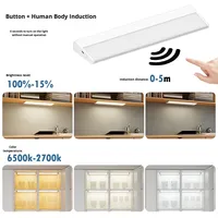 Sınır Ötesi LED Dolap Işığı Akıllı İnsan Vücudu Sensörü PC Şarj Edilebilir Dahili Pil Manyetik Gece Lambası Kitaplık Gardırop
