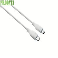 Câble USB-C PRODATA du fabricant d'origine (matériau PVC ABS) pour une charge rapide, électronique blindée, OEM/ODM disponible pour téléphones