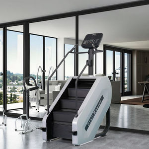 इलेक्ट्रिक एरोबिक व्यायाम वाणिज्यिक स्टील सीढ़ी पर्यावरण के अनुकूल और बहुक्रियाशील सुविधाओं के साथ - Product Image 3