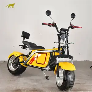 Big Seat New Good Quality Cool Design EEC/COC Road Legal Model HL-3.0 3000W Electric Scooter Citycoco For Adults