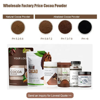 Poudre de cacao alcalinisée d'ingrédients de cacao de haute qualité 100% poudre de cacao naturelle à bas prix