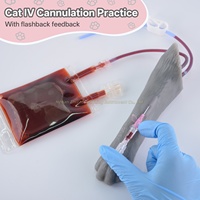 Kit de pratique vétérinaire pour prélèvement sanguin et cathétérisme IV sur la patte du chat, destiné aux étudiants, vétérinaires et à la formation