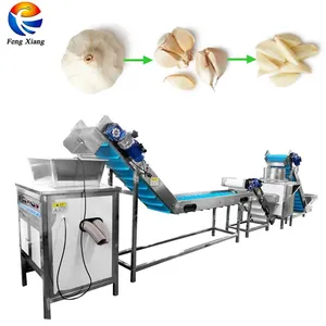 Industrial Automatic Garlic Breaking Peeling Peeler Processing Machine Production Line