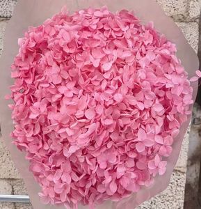 Flor de Hortensia Seca Más Popular para Decoración <span class=keywords><strong>del</strong></span> Hogar, Precio de Fábrica, Material DIY, Regalo <span class=keywords><strong>Inmortal</strong></span> para el Día de la Madre y San Valentín - Product Image 6
