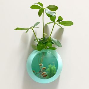 Vase mural transparent en silicone magique, auto-adhésif, pour fleurs suspendues, vente en gros - Product Image 5