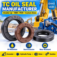 Joint d'étanchéité TC personnalisé NBR FKM à double lèvre pour arbre rotatif, tailles métriques pour pompe hydraulique et moteur