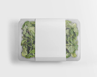 Emballage à clapet en plastique de conteneur de boîte d'animal familier clair d'herbe végétale fraîche de qualité alimentaire de haute qualité pour la laitue