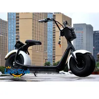 자동 모토 전기 스쿠터/Citycoco 자전거