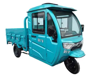 Premium electric tricycle Turkish electric truck freight electric scooter tricycle for adult farms