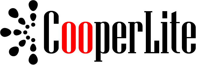 Shaoxing Shangyu Zhengliang Electrical Appliance Co., Ltd. logo