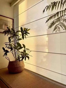 ستائر رومانية ذكية/يدوية مخصصة الحجم لتصفية الضوء، الأكثر مبيعًا لتزيين النوافذ في المنازل والفنادق - Product Image 2