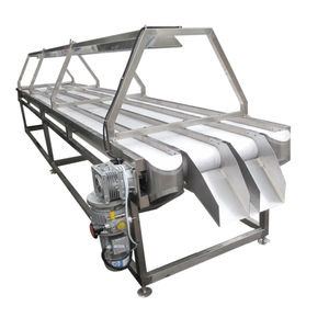 Sebze ve Meyve Seçme Konveyörü, Lambalı Kontrol Masası Konveyörü, LED Işıklı Konveyör - Product Image 6