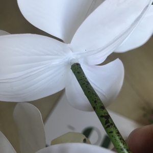 I-1013 장면 장식을 위해 인위적으로 제조 된 고품질 화이트 프리미엄 라텍스 난초 - Product Image 3