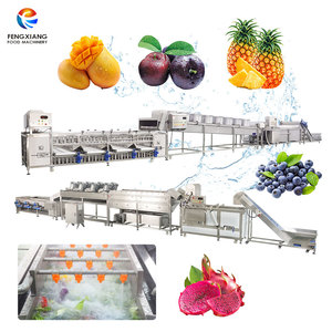 Ligne de nettoyage et de séchage de fruits sur mesure pour usine : oranges, fruits du dragon, ananas, pruneaux, agrumes - Product Image 1