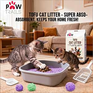 Bac à litière pour chat en tofu biodégradable et écologique avec charbon actif à base d'amidon de maïs et de bois de pin, jetable dans les toilettes, sans blocage - Product Image 1