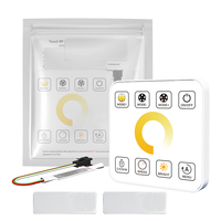 Guirlandes lumineuses LED en forme de chevaux en course, en cuivre, WS2812B, avec télécommande tactile à 8 touches, contrôleur mural, indice de protection IP33, 12-24V, installation facile