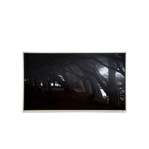 แผงจอ LCD รุ่น M215HVN02.0 มีสินค้าในสต็อก ขนาด 21.5 นิ้ว ความละเอียด 1920*1080 60Hz - Product Image 1