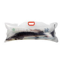 Sac en plastique d'emballage d'aquarium de poissons vivants Transparent avec fermeture à glissière et poignée sac de Transport Portable d'oxygène gonflable