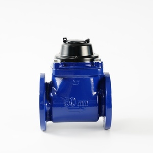 Đảm Bảo Chất Lượng Giá Rẻ Đồng Hồ Nước DN50 Đường Kính Lớn Đồng Hồ Nước Cho Đất Nông Trại Thủy Lợi Với Chất Lượng Cao - Product Image 4