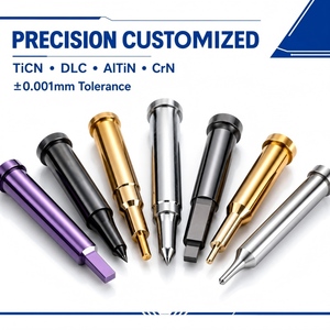 Poinçons et matrices personnalisés avec revêtement TiCN, pièces de moule d'estampage avec revêtement DLC CrN PVD, remplacement pour MISUMI DAYTON DIN ISO JIS - Product Image 1