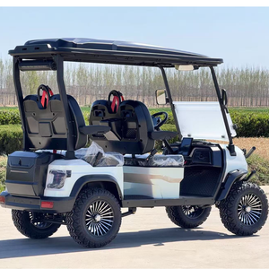 Carrello da Golf motorizzato nuovo design con freno a disco personale carrello da Golf elettrico da strada - Product Image 4
