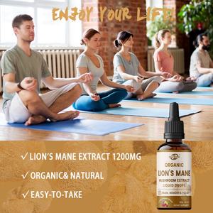 Gotas Líquidas de Melena de León de Marca Privada OEM, Suplemento Orgánico de Hongo Melena de León para la Concentración y Claridad Mental, Suplemento para el Apoyo Cerebral - Product Image 4