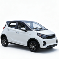 Vehículo Eléctrico Chino a Bajo Precio, 5 Puertas, Baja Velocidad, Automático, Mini Auto Eléctrico para Uso Familiar