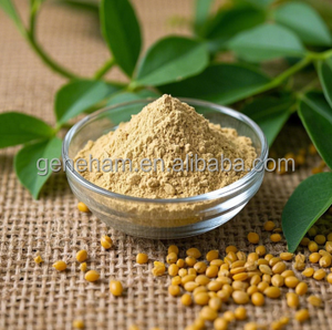 Polvo de extracto de semilla de fenogreco orgánico para alimentos, regulación de azúcar en sangre Natural, potenciador de masa muscular, suplementos herbales dietéticos, tambor - Product Image 5