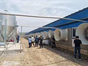Silo-Torre de alimentación para almacenamiento de granos, equipo de alimentación para cerdo, aves de corral, pollo, cría de animales - Product Image 6