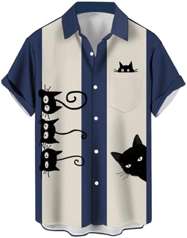 Gato negro