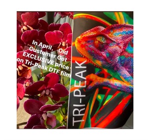 <span class=keywords><strong>Film</strong></span> DTF Tri-Peak aux couleurs vibrantes à décollement instantané : aide les petites entreprises à offrir des services de qualité professionnelle à des prix imbattables. - Product Image 1