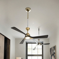 Ventilateur de plafond LED BLDC à circulation d'air doux en acrylique, télécommandé, pour la maison, café, restaurant, salon - Fabrication directe OEM/ODM