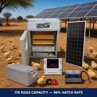 Incubateur d'œufs industriel à énergie solaire entièrement automatique avec batterie de panneau solaire pour poulet, canard, d'oie, caille