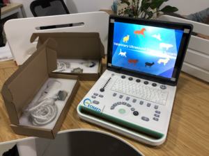 15 inç LCD ekran ile kol + Linux sistemleri ultrason tarayıcı at köpek sığır hayvan dizüstü ultrason makinesi BW10vet - Product Image 5