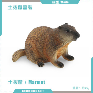 Comercio exterior Venta caliente Modelo salvaje <span class=keywords><strong>Marmota</strong></span> Ardilla Bosque Pastizal Animal Adornos de mano estáticos - Product Image 6