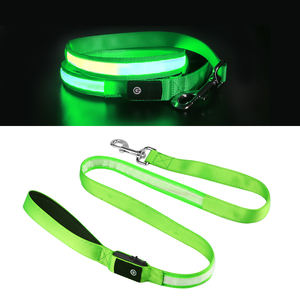 Großhandel High-End Designer Custom ized Print Aufladen Leuchtende LED-Beleuchtung Hund Haustier Halsband <span class=keywords><strong>Made</strong></span> <span class=keywords><strong>in</strong></span> <span class=keywords><strong>China</strong></span> Nylon Material - Product Image 2