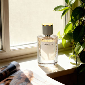 Perfume en Aerosol con Fragancia OEM, Botella con Logotipo Personalizado, Eau de Parfum de Larga Duración para Hombre - Product Image 4