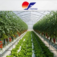 Kit de serre avec film plastique résistant aux UV de 180 microns, tunnel polyvalent, ensemble complet pour l'agriculture