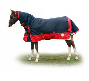 Budget freundliche wasserdichte Pferde teppiche mit maßge schneider ter Passform aus Polyester für Wärme komfort und Verwendung bei kaltem Wetter - Product Image 6