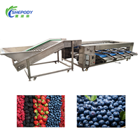 Shepody 500kg/u Automatische Kiwi-Komkommer Sorteermachine Auto Abrikoos Granaatappel Tomaat Pecannoten Roller Sorteermachine