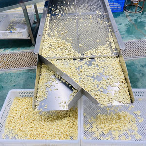 Çin'den Soyulmuş Taze Sarımsak Granülleri ve Vakumlu Paketlenmiş Sarımsak Granülleri Toptan Satışında Uzmanlaşmıştır - Product Image 5