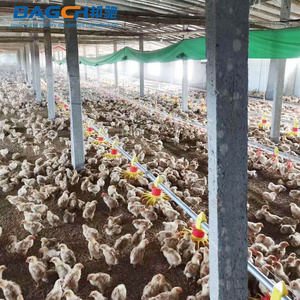 Máquina de fabricación de alimentación de <span class=keywords><strong>pollos</strong></span>, sartén de alimentación de aves de corral, pollo, broiler, buen <span class=keywords><strong>precio</strong></span> - Product Image 6