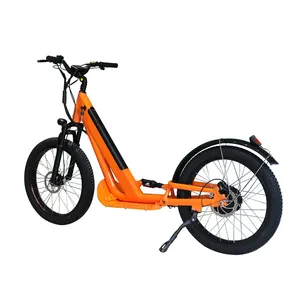 24 дюйма жира колесный электрический самокат велосипед для взрослых собак скутер